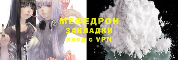 стаф Каменка