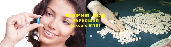 каннабис Каменногорск