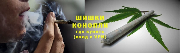 стаф Каменка