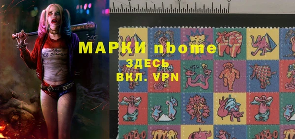 стаф Каменка