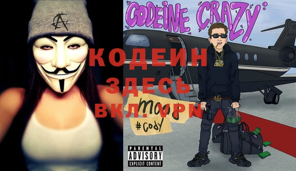 стаф Каменка