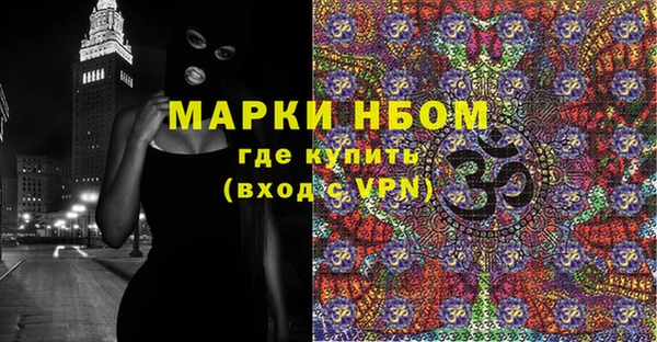 стаф Каменка