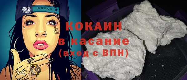 стаф Каменка