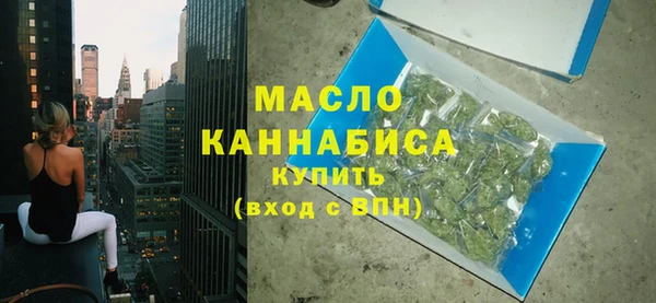 стаф Каменка